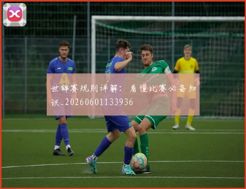 世锦赛规则详解:看懂比赛必备知识_20260601133936