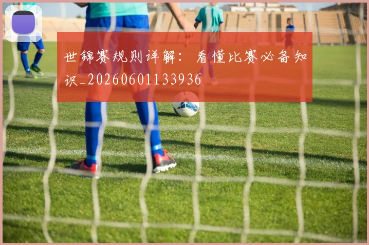 世锦赛规则详解：看懂比赛必备知识_20260601133936